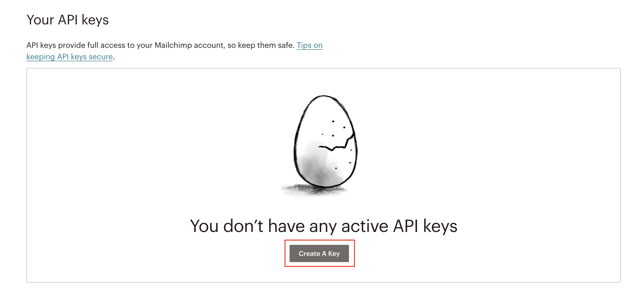 API Key