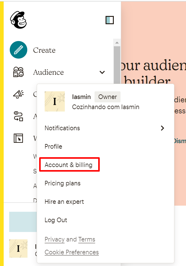acesso ao Account & billing no MailChimp