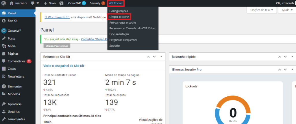 limpando cache no WP Rocket