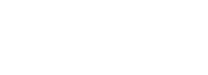 logo grupo wiser