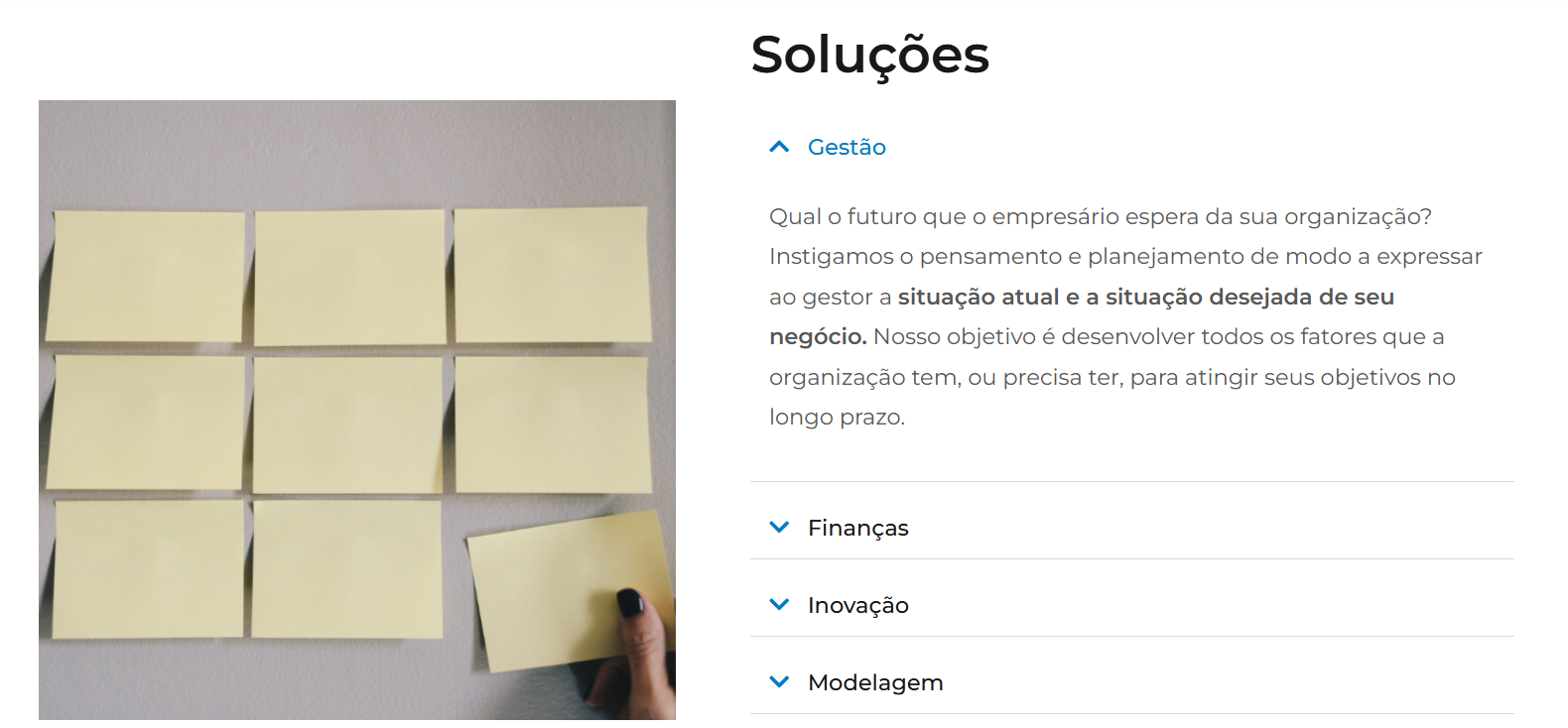 exemplo biznes consultoria