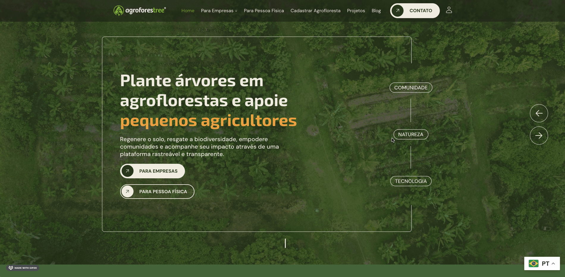 agroforestree_case